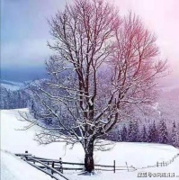 沿途雪影，印证深浅的聚散