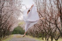 总有一份遇见，唯美了整个曾经