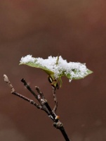 时间，是一把戳穿虚伪的刀！（深度好文）