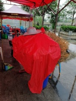 李文全随拍：竹签在他乡