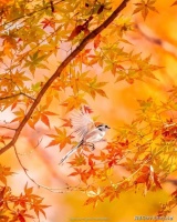 余生自信，活出品位！