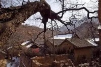 王一博：段村乡随笔｜散文选读