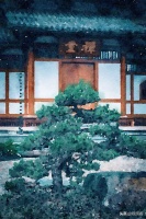 （二）禅堂回忆 |《法界之心》连载二