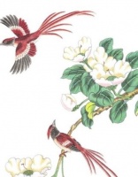 俗语“不孝有三无后为大”，另外两“不孝”揭露人性，很少人做到