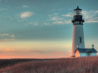 喜欢的，不喜欢的，都是自己要经历的