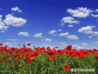 妖姬，身披一袭红衣