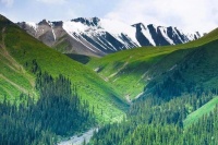 宝贵造句和解释_宝贵的例句有哪些