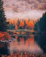 引颈一声，跨越山水的平凡