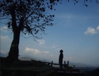 在你眼中的全家集是什么样的？是温暖的或者是美味的