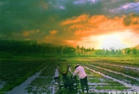 俗语：男怕三六九，女怕一五七，老祖宗的经验，中年人不妨一看