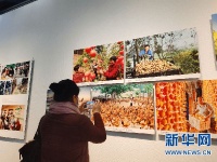 “大决战——河南省脱贫攻坚优秀摄影作品展”在郑州开幕