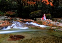 读书养才气，勤奋养运气，宽厚养大气，淡泊养志气