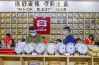 大益茶只炒不喝？聊聊茶圈”老茶骨“语录