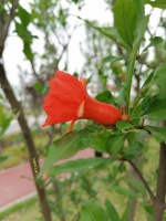 李文全随拍：喜庆，总给心情以旷野