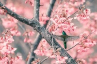 《基督山伯爵》里9大经典的句子，总有一句触动你