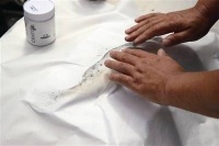 鱼拓：为鱼留影的艺术