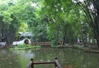 俗语“人到四十五，正是出山虎”，祖先的至理名言，早点知道好！