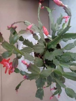 没一件东西可以永恒不变