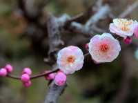 我们要做个强者，要有足够的拼搏精神