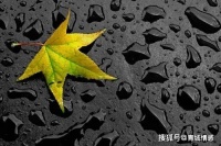 雨，还是那个雨天