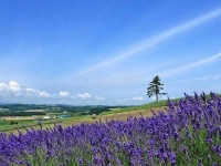 看开点，想开点，愿你每天都笑开颜