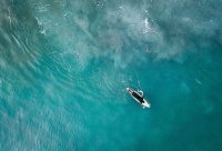 心理学：人格是什么？什么样的因素会影响人格？