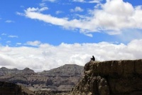 人生最大的悲剧，不是败给了对手，那是败给了谁？