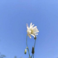 人若有志，万事可为