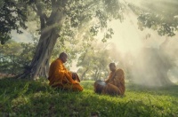 白天精力越集中，晚上越容易入眠