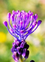 经典正能量句子，深刻明理，简单干净，直抵心灵