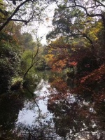 爱的祭礼       我的财富