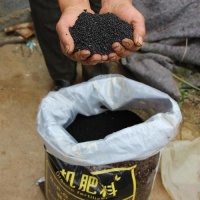 他囤积6.8吨尿液，想要提取黄金，却意外发现一种影响世界的元素