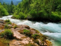 水中的人生哲理之像水一样灵活