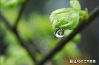 从祖母眼角涌出，温润的点滴