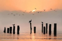 每人都有的重要财富通道，大多数人却视而不见