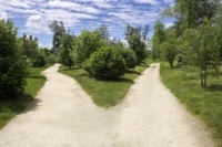 执行力才是第一步成功