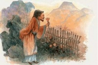 一切回到了自然本身