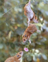 古人云：有事钟无艳，无事夏迎春，什么意思？佩服老祖宗的智慧