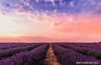 请远离那些否定你的人