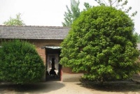 古人说：“门前不栽竹，屋后不栽树”，是什么意思？有道理吗？