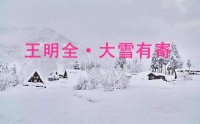 王明全·大雪有寄