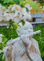 莫要太过贪心，这就是因果！