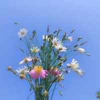 不管命运给你什么样的人生，都要好好珍惜