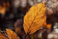 ​人活着，要有尊严（深度好文）