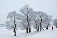 吴相渝：冬深了，未来静默如迷｜中原诗人