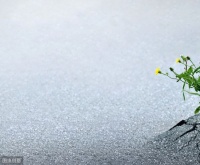 人的力量，来自于哪里？——来自于我们自身的领悟