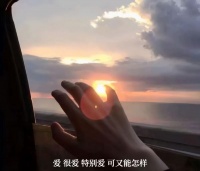 唯美伤感句子，爱情里要学会坚强、执着、率真、坦荡