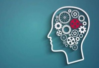 十四个很准的心理暗示