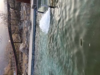 写在书边上        象罔得珠，怪乎？