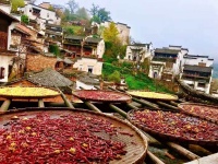 如果你渴望得到某样东西，你得让他自由